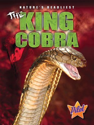 cover image of The King Cobra